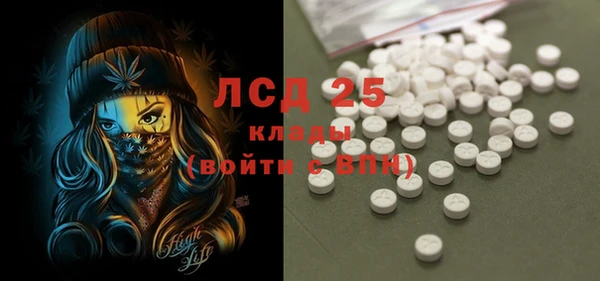 спиды Ладушкин
