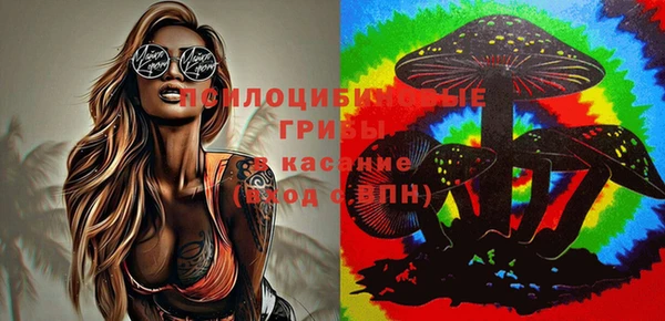 альфа пвп Лабытнанги