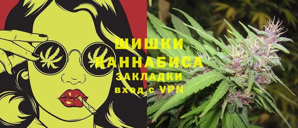 спиды Ладушкин