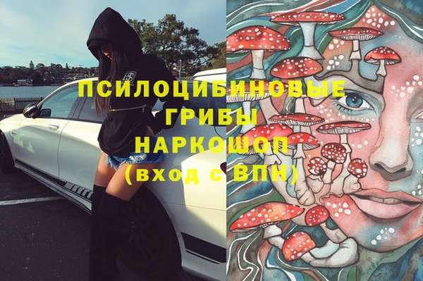 Альфа ПВП Лагань
