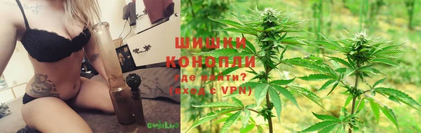 Альфа ПВП Лагань
