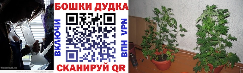 Марихуана MAZAR  где купить наркоту  Ялуторовск 